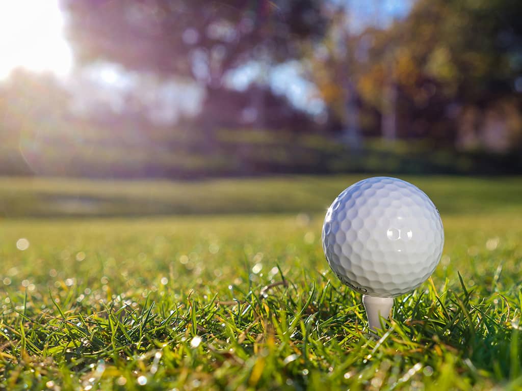 The role of golf ball fittings